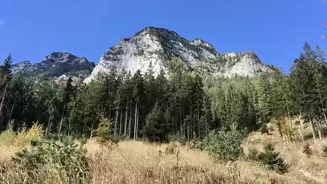 Free download Indian Summer Austria -  free free photo or picture to be edited with GIMP online image editor