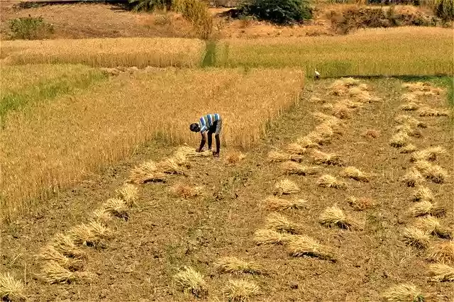 Free download India Village Rajasthan -  free free photo or picture to be edited with GIMP online image editor