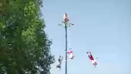 Free download Indigenous Dance Customs Ethnic -  free video to be edited with OpenShot online video editor