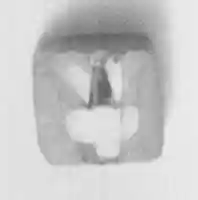 Free download Inlay fragment, lotus design free photo or picture to be edited with GIMP online image editor