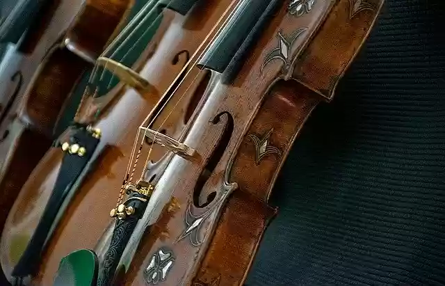 Free download instrument violin music melody free picture to be edited with GIMP free online image editor