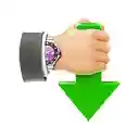 Internet Download Accelerator  screen for extension Chrome web store in OffiDocs Chromium