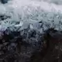 Intricate Frost Crystals  screen for extension Chrome web store in OffiDocs Chromium