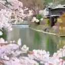 Introduction to the Cherry Blossoms by the River and House Theme  screen for extension Chrome web store in OffiDocs Chromium