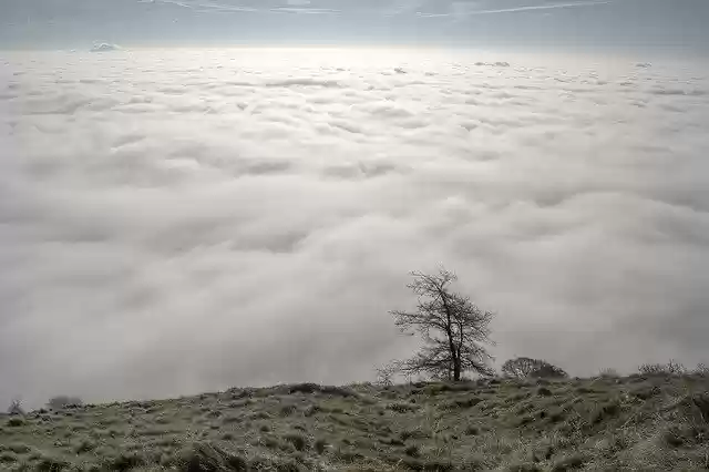 Free download Inversion Fog Silhouette -  free photo or picture to be edited with GIMP online image editor