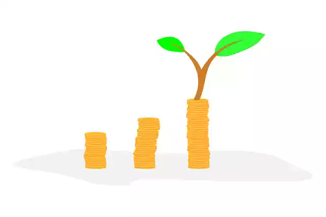 Free download Invest Money GrowFree vector graphic on Pixabay free illustration to be edited with GIMP online image editor