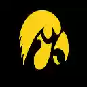 Iowa Hawkeye Theme  screen for extension Chrome web store in OffiDocs Chromium