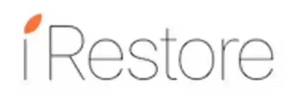 Free download Irestore free photo or picture to be edited with GIMP online image editor