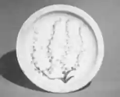 Free download Ishizara Plate with Design of Flowering Tree free photo or picture to be edited with GIMP online image editor