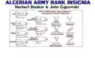 Free download Islamic Armies Branch and Rank Insignia free photo or picture to be edited with GIMP online image editor