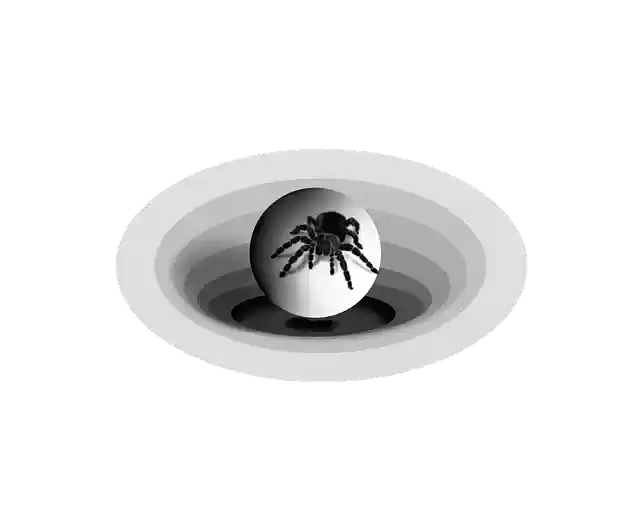 Free download Isolated Spider Hole -  free illustration to be edited with GIMP free online image editor