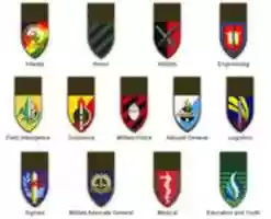 Free download Israel Defence Force Corps Insignia 2014 free photo or picture to be edited with GIMP online image editor