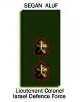 دانلود رایگان عکس یا تصویر رایگان سرهنگ ستوان نیروی دفاعی اسرائیل Rank Insignia برای ویرایش با ویرایشگر تصویر آنلاین GIMP