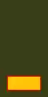 Free download Israel Defence Forces Acting Officer Rank Insignia free photo or picture to be edited with GIMP online image editor