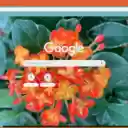 Ixora  screen for extension Chrome web store in OffiDocs Chromium
