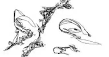 Free download izzybear713 free photo or picture to be edited with GIMP online image editor