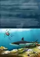 Free download Jack the grey reef shark - A legend from the start free photo or picture to be edited with GIMP online image editor