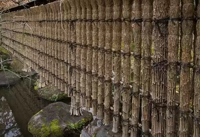 Free download Japan Garden Bamboo -  free photo or picture to be edited with GIMP online image editor