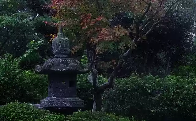 Free download Japan Landscape Autumnal Leaves free photo template to be edited with GIMP online image editor
