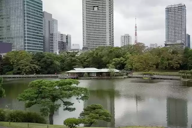 Free download Japan Tokyo Garden -  free free photo or picture to be edited with GIMP online image editor