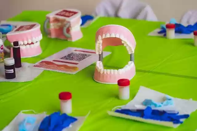 Free download Jaw Spat Workshop -  free photo or picture to be edited with GIMP online image editor