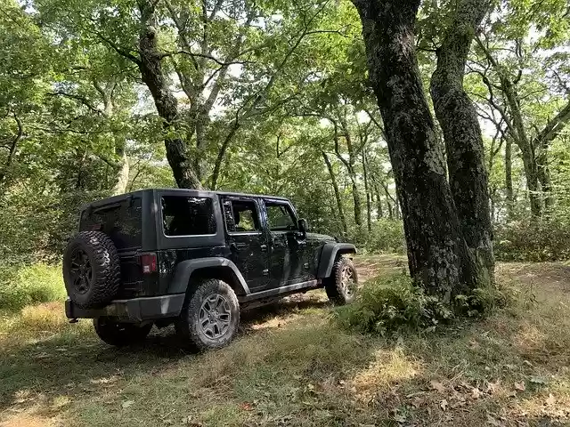 Free download Jeep Offroad Vehicle -  free photo or picture to be edited with GIMP online image editor