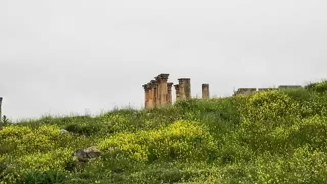 Free download Jerash Ruins Jordan -  free photo or picture to be edited with GIMP online image editor