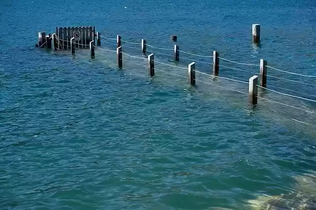 Free download Jetty Lake Web -  free free photo or picture to be edited with GIMP online image editor