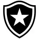 Joga Quando botafogo  screen for extension Chrome web store in OffiDocs Chromium