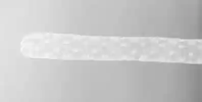 Free download Joined lappets free photo or picture to be edited with GIMP online image editor