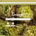 Jovibarba  screen for extension Chrome web store in OffiDocs Chromium