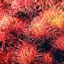 Juicy red rambutans  screen for extension Chrome web store in OffiDocs Chromium