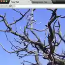 Juniper Theme  screen for extension Chrome web store in OffiDocs Chromium