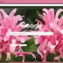 Justicia Carnea  screen for extension Chrome web store in OffiDocs Chromium
