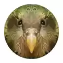 Kakapo for Chrome  screen for extension Chrome web store in OffiDocs Chromium