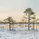 Kakerdaja Bog  screen for extension Chrome web store in OffiDocs Chromium