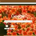 Kalanchoe  screen for extension Chrome web store in OffiDocs Chromium