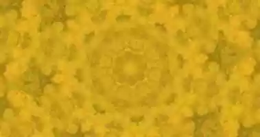 Free download kaleidoscopeLime-20160701-210056 free photo or picture to be edited with GIMP online image editor