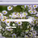 Kalimeris  screen for extension Chrome web store in OffiDocs Chromium