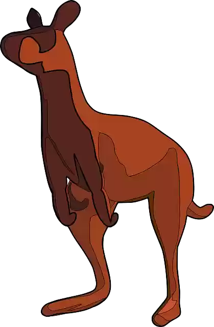 Free download Kangaroo Animal Mammal - Free vector graphic on Pixabay free illustration to be edited with GIMP free online image editor