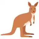 Kangaroo in the Wild  screen for extension Chrome web store in OffiDocs Chromium
