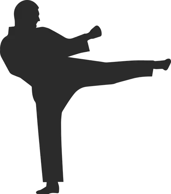 Free download Karate Icon Fight - Free vector graphic on Pixabay free illustration to be edited with GIMP free online image editor