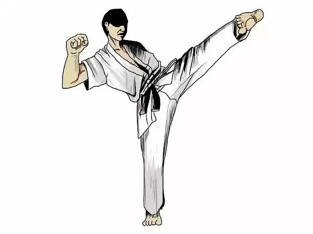 Free download Karate Martial Arts Sports -  free illustration to be edited with GIMP free online image editor