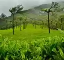 Free download Kerala Tour Operators free photo or picture to be edited with GIMP online image editor