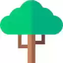 Kernel  screen for extension Chrome web store in OffiDocs Chromium