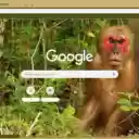 Khi dau do  screen for extension Chrome web store in OffiDocs Chromium