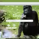 Ekran Khi Gorilla dla rozszerzenia sklepu internetowego Chrome w OffiDocs Chromium