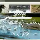 Khu sinh thái Giao Xuân  screen for extension Chrome web store in OffiDocs Chromium