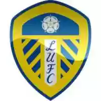 Free download kisspng-leeds-united-f-c-elland-road-efl-championship-mid-bet-5ac7ea0247e576.4459198015230510102945 free photo or picture to be edited with GIMP online image editor