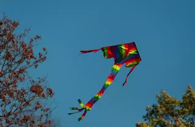 Free download kite wind dragon fall free picture to be edited with GIMP free online image editor